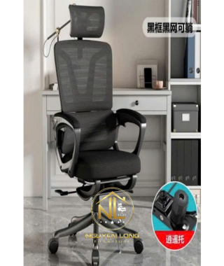 Ghế Công Thái Học CTH006Đ