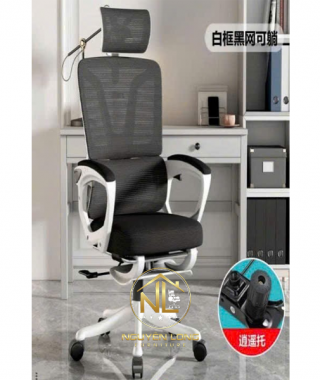 Ghế Công Thái Học CTH006T