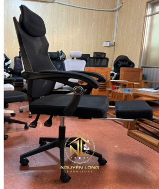 Ghế Công Thái Học CTH302Đ