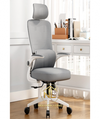 Ghế Công Thái Học CTH418X