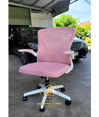 Ghế Công Thái Học CTH698H