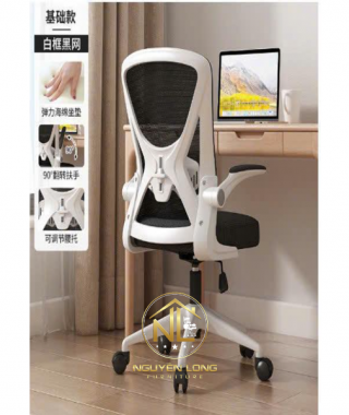 Ghế Công Thái Học CTH698T