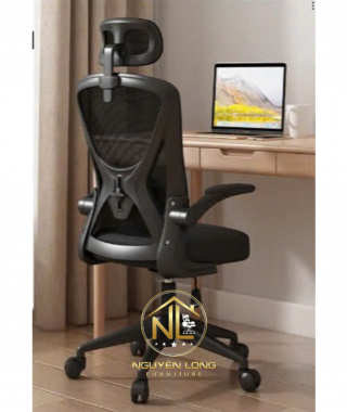 Ghế Công Thái Học CTH699Đ