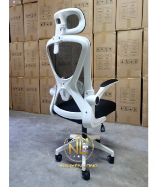 Ghế Công Thái Học CTH699T