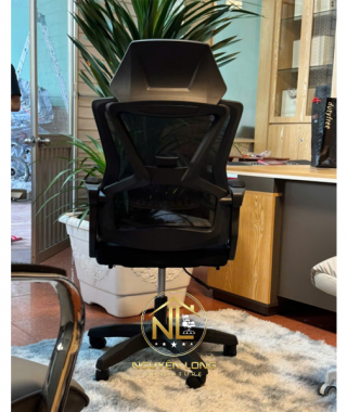 Ghế Công Thái Học CTH818Đ