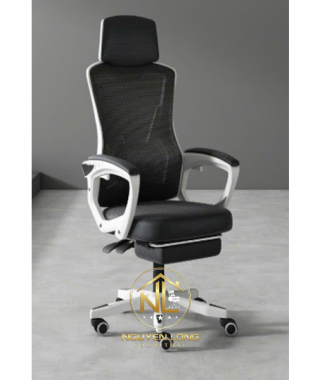 Ghế Công Thái Học CTH818T