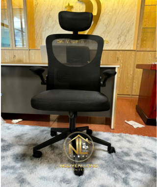 Ghế Công Thái Học CTH883Đ