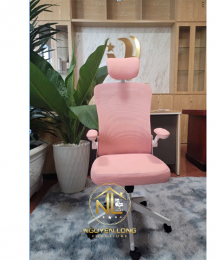 Ghế Công Thái Học CTH883H