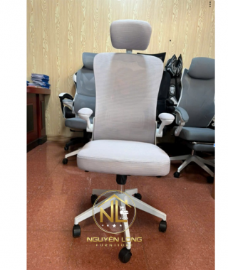 Ghế Công Thái Học CTH883X