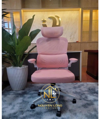 Ghế Công Thái Học CTH889H