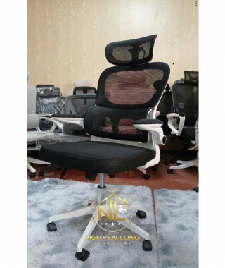 Ghế Công Thái Học CTH889T