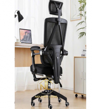 Ghế Công Thái Học CTH899Đ