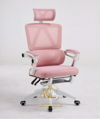 Ghế Công Thái Học CTH899H