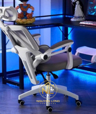 Ghế Công Thái Học CTH899X