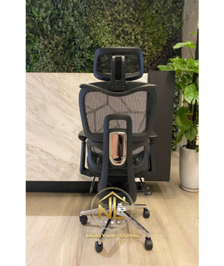 Ghế Công Thái Học CTH900Đ