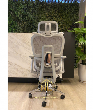 Ghế Công Thái Học CTH900X