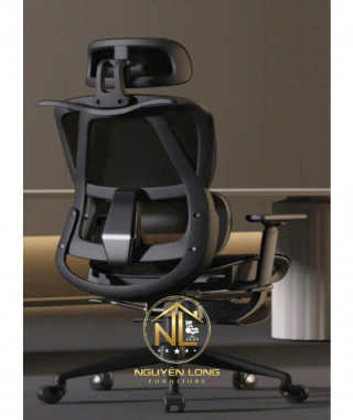 Ghế Công Thái Học CTH919Đ