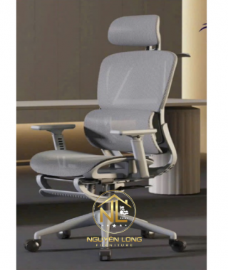 Ghế Công Thái Học CTH919X