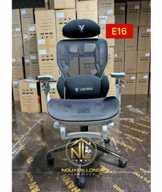 Ghế Công Thái Học CTHE16Đ