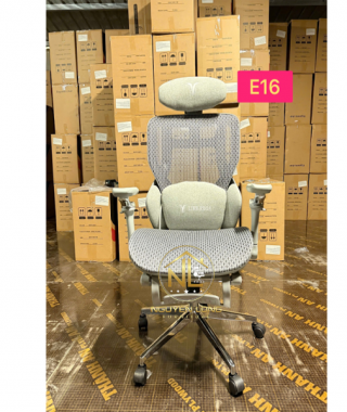 Ghế Công Thái Học CTHE16X