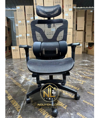 Ghế Công Thái Học CTHE18Đ