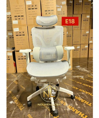 Ghế Công Thái Học CTHE18T