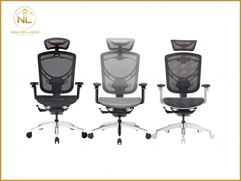 Ghế công thái học GT